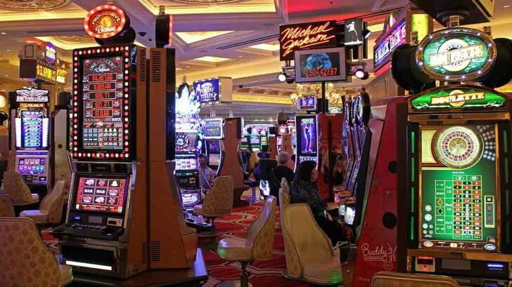 Riding the Wave: Casino Slot Machine Adventures Await